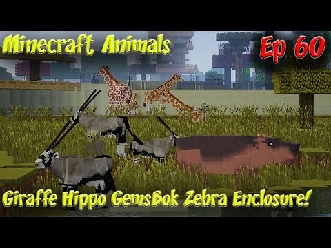 ZAWA Giraffe Hippos ZooCraft Discoveries Giraffe GemsBok Enclosure Minecraft Animals 60FPS EP60