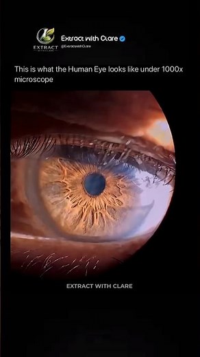 Human Eye Under 1000x Microscope 👁️🔬