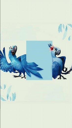 Blu x Jewel " Fly Love " #Rio #Blu&Jewel 🦜❤🌹