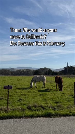 Megan Thompson | Host of 'I Can Do That' on Instagram: "California has a lot of pros and cons, but 24 hours in Half Moon Bay or a coastal town in the middle of winter will definitely melt the stress away! Cheers to choosing beauty, love, joy amd connection in 2026 no matter where you are! #todayshow #halfmoonbay #norcal #beachmom #momlife"