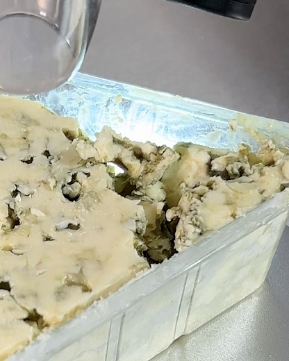 And I thought blue cheese couldn't look any worse 😨 | LADbible Australia