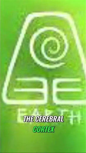 Unlocking Memory Hippocampus & Cerebral Cortex Explained!