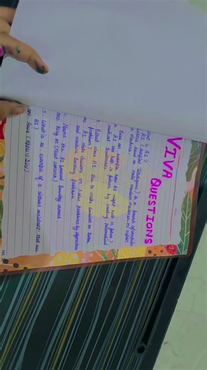 Computer file 🗄️