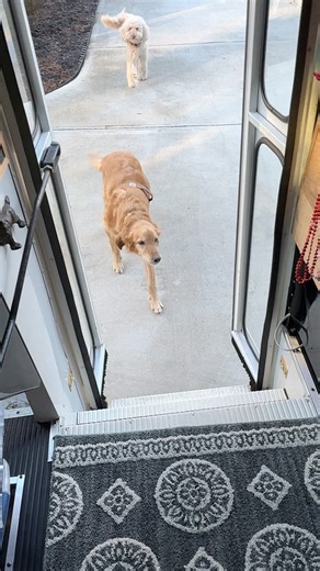 First on the bus this morning! | The Storybook Bus