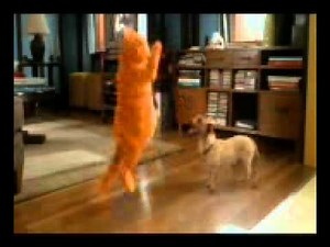 Funny cat and dog - Bangla sub