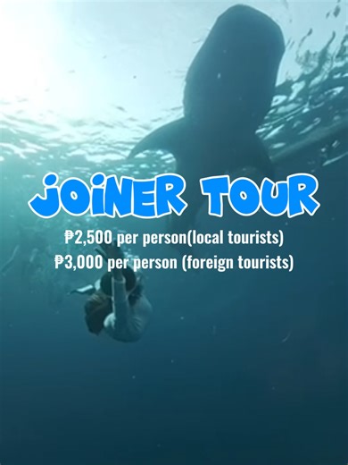 Ready for the ultimate Cebu adventure? 🌊✨ Swim with the gentle giants, chase the waves, and explore paradise, all in ONE unforgettable day! 🐋🏝️🐢 JOINER TOUR PACKAGE ₱ 2,500 per person (Local Tourist) ₱ 3,000 per person (Foreign Tourist) ITINERARY: 📍 Whale Shark Encounter 📍 Sumilon Island 📍 Sardines Run Experience 📍 Turtle Chase INCLUSIONS: ✔️ Complete Gear ✔️ Tour Guide Assistance ✔️ Boat Transfers & Entrance Fees Don’t miss out on this all-in, hassle-free experience, perfect for solo tr