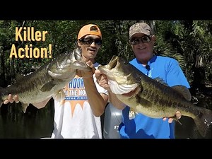 Fishing For Trophy Bass On The Ocklawaha River