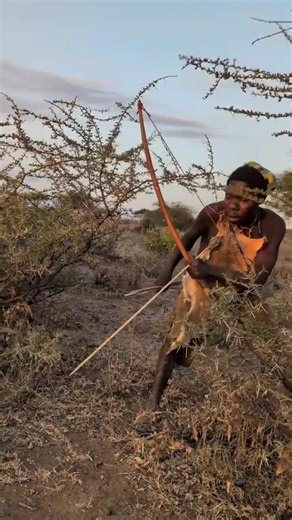 Precisão tribal inacreditável! Conhecimento da mata!#shorts #wildlife