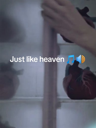 Just like heaven 🎵🎶 #oliviarodrigo #thecure #lyrics #music #lyricssong9911