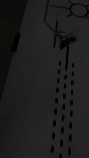 Hay lắm mha anh em #robot #lines #code #arduino #xuhuong