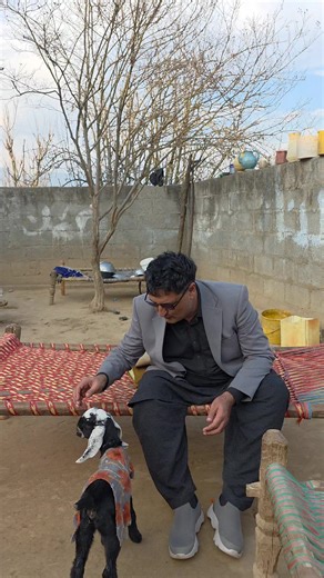 Exploring Village Life