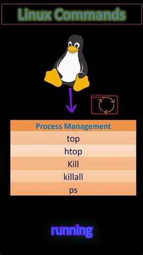 Master Linux Process Management Commands under 60 Seconds! 🚀 #linux #linuxcommands #linuxshorts