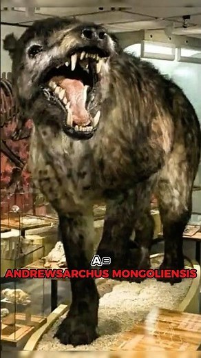 Extinct Predators That Dominated Prehistoric Earth…#ExtinctPredators#PrehistoricLife#AncientAnimals