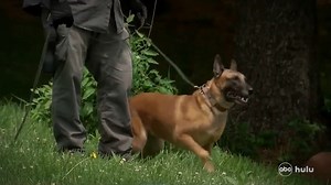 24K reactions · 1.7K comments | A clue from social media that changes the entire course of a murder investigation. The stunning all-new 20/20 true crime - “Road Map to Murder” - premieres Friday night, May 30th at 9/8c on ABC. Stream on Hulu. | ABC 20/20 | Facebook