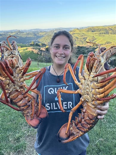 Cooking the Biggest Crayfish in New Zealand