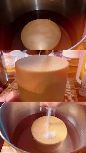 Making Edam cheese 🧀