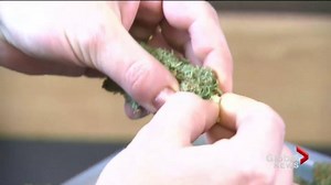 Flying high: rules surrounding passengers carrying cannabis at Canadian airports