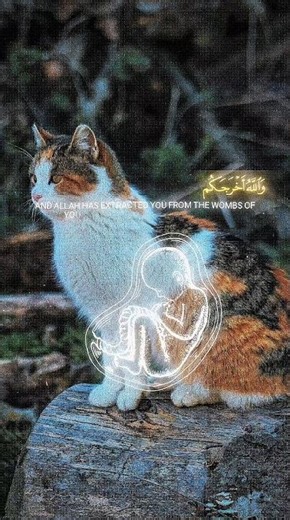 زال تصنع المعجزات فينا اليوم!"#quran #saudiarabi #islamic