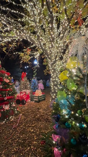 5K views · 831 reactions | An annual tradition worth the visit  Tuscaloosa’s One Place Tinsel Trail is HERE! See you on the trail this holiday season!  Government Plaza, Tuscaloosa, Alabama #VisitTCL | Visit Tuscaloosa | Facebook