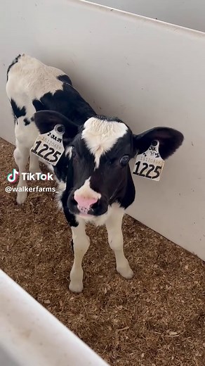 Walker Farms on TikTok