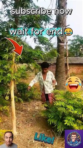 Try Not To Laugh Challenge 😂 #funny #shorts