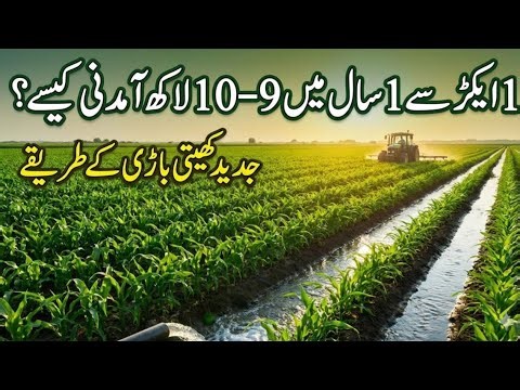 How to Earn 9–10 Lakh from 1 Acre in 1 Year | Modern Farming Methods