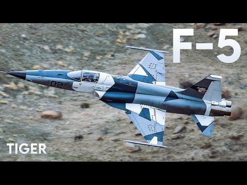 The F-5 Tiger Jet That Trained Top Pilots!
