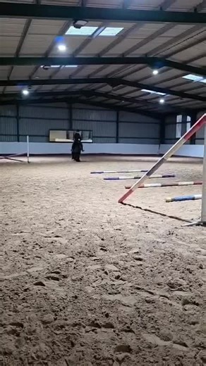 Brave Horse Tricks Without Hands