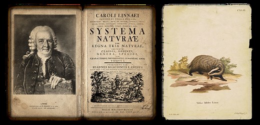 35: Taxonomy and names, both classic and stupid (or hilarious!)