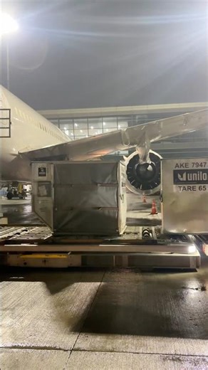 Container loading in jumbo aircraft #b787 #loading #aviation