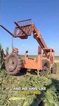 Are There Less Problems Logging or Farming?