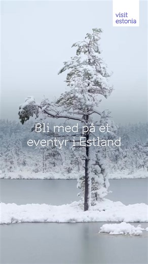 1.1M views | Visit Estonia on Reels | Facebook