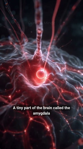 The Real Reason We Get Angry 😡 Brain Secrets Revealed!