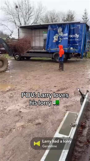 Was a busy week lifting bare root trees for delivery in the lorry. Larry and Rob love the lorry.🚛 #barerootseason #cullennurseries #nativeplants #nationwidedelivery #nativeirishtrees