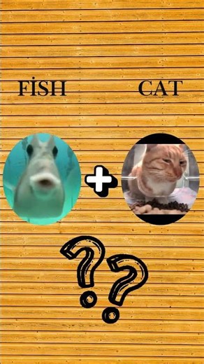 Cat + Fish = 🐈🐟 You Won’t Believe This One! #cats #fish