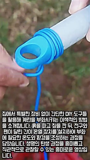 시골에서 배우는 기발한 수제 계란 부화기 만들기 #worker #process #farm #life #creative