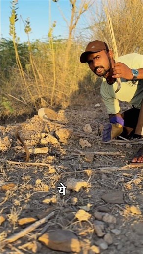 been per kyu kyu nachta hai 🐍 saap #viral #snake #trending #new #cobra #viralkerado