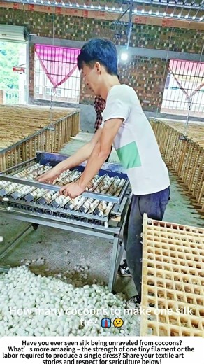 Silk Reeling – Unwinding Cocoons in a Traditional Filature 🐛🧵