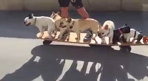 29K views · 809 reactions | awesome | Amazing pictures | Facebook