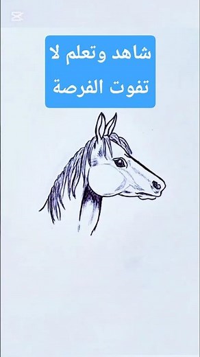 رسم حصان خطوة بخطوة للمبتدئين ( Horse sketch tutorial )#رسم #اكسبلور #drawing #تعلم_الرسم #رسم_سهل
