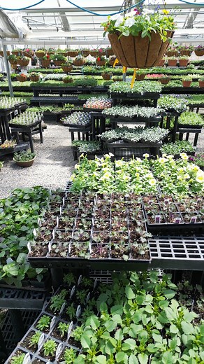 77 reactions · 11 shares | It’s spring break—and we’d love to spend...