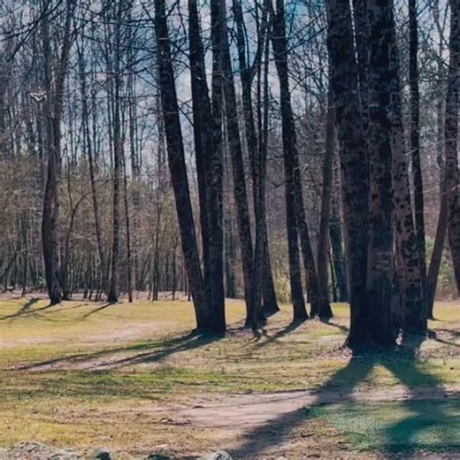 Hole10 Yahoola Creek 317’ #mostfunwins #yahooligans #streamlinediscs Ascend 6/5/-3/1 | Gabriel Gundersøn