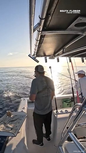Landing a Yummy Rainbow Runner #rainbowrunner #fishingdaily #eatingfish | South Florida Fishing Channel