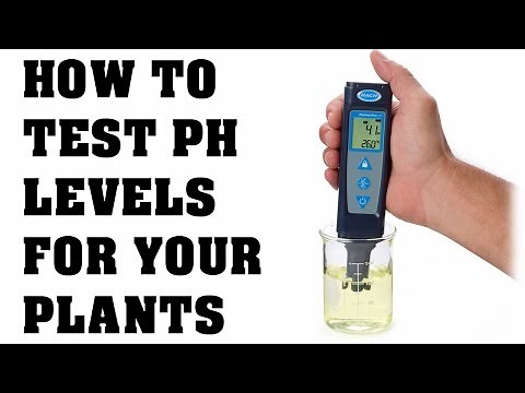 How To Use A PH Tester and Calibration - Testing PH In Your Water