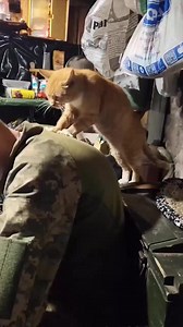 Massage parlor | In Ukraine