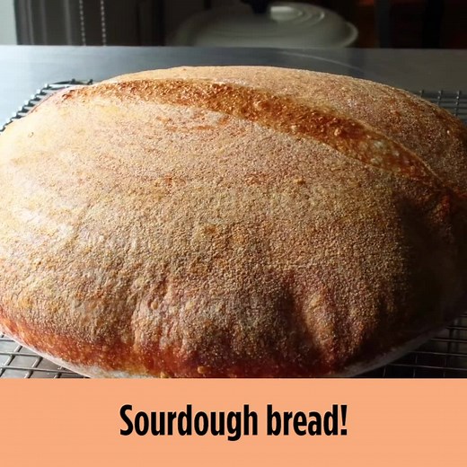 292K views · 388 reactions | Want to start making your own bread? You can't do better than Chef John's sourdough starter recipe. GET THE RECIPE: https://trib.al/MC3XLSU | Allrecipes | Facebook