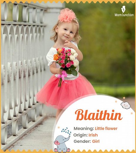 Blaithin Baby Name Meaning, History & Pronunciation Guide Name Meaning, Origin, History, And Popularity