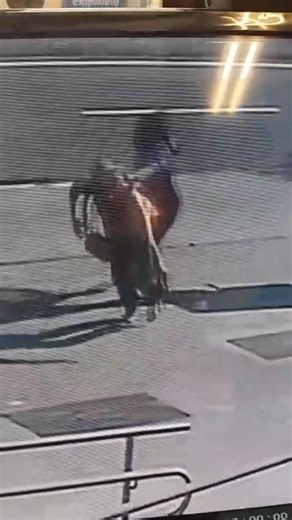 Giorgio Mendonça on Instagram: "Ocorrência de roubo na Barra da Tijuca. Após informações do setor de inteligência da 16ª DP, a equipe da Operação Segurança Presente - Praça do Ó, composta pelo Sgt Yatsuda, Cb Mendonça e Sd Barreto, iniciou diligências que resultaram na localização e condução dos envolvidos. Com atuação integrada e apoio da Polícia Civil, a vítima foi localizada e realizou o reconhecimento dos autores, permitindo o correto encaminhamento do caso à autoridade policial. Trabalho té