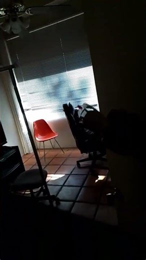 My Roblox Arsenal nerf gun #nerf #cool #smartgaudget