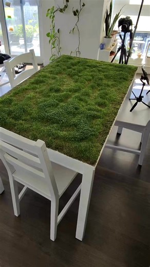 60K views · 1K reactions | 10 days ago I covered my dinner table in chia seeds and today….I ate the best breakfast of my LIFE. Now the only thing left to do….is bring our fairy garden to life! | Growithjessie | Facebook